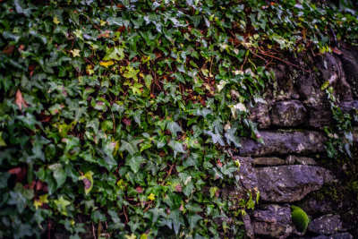 Castleton, England — fine art travel photography print available from Clever Tourists