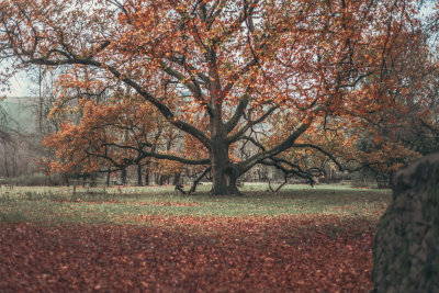 Castleton, England — fine art travel photography print available from Clever Tourists