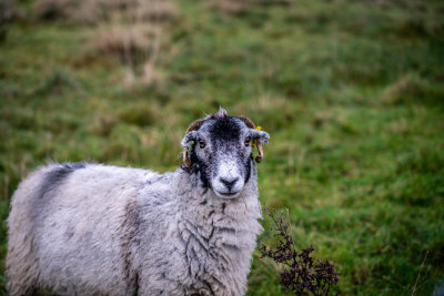 Castleton, England — fine art travel photography print available from Clever Tourists