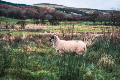 Castleton, England — fine art travel photography print available from Clever Tourists