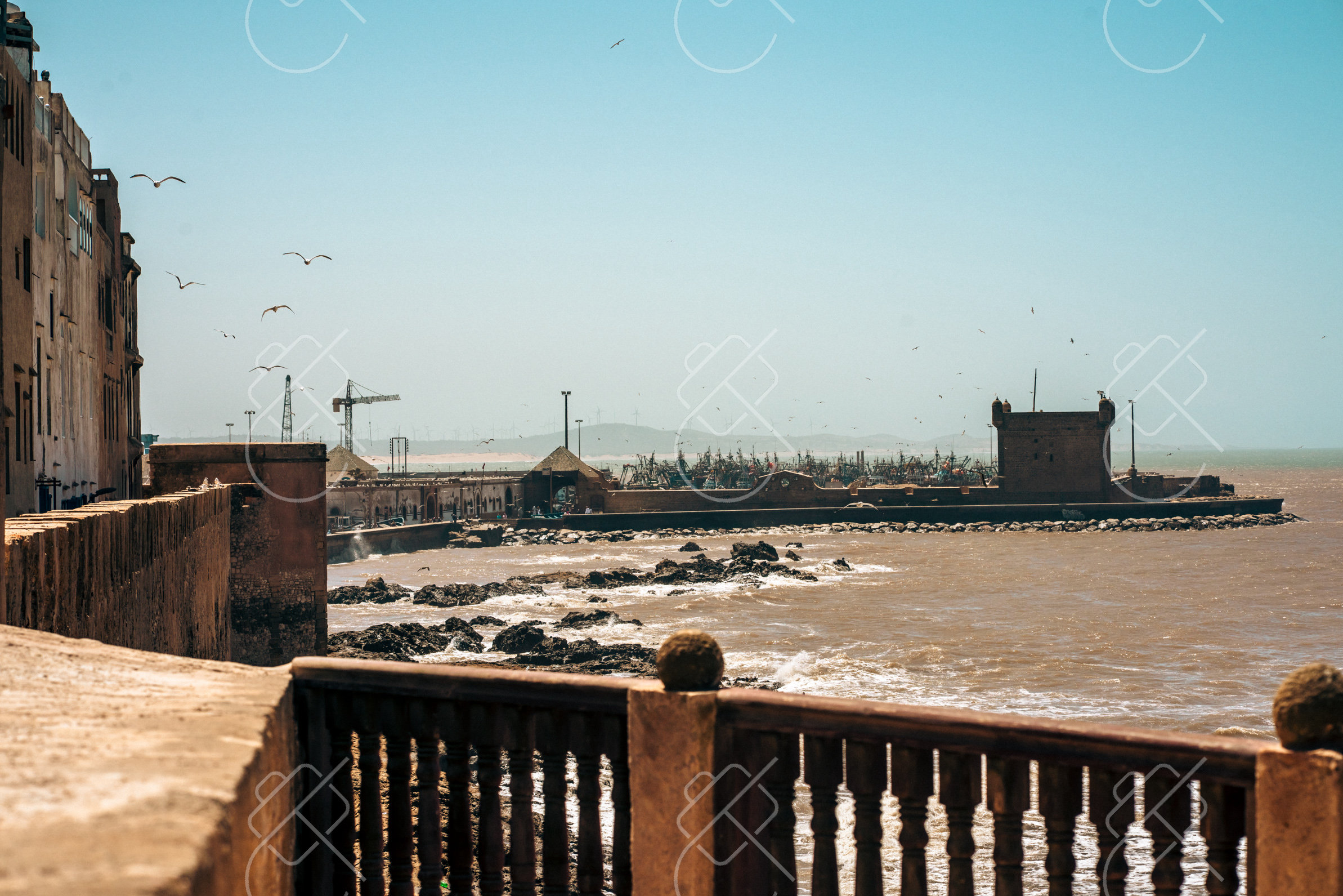 View & buy this print Essaouira, Morocco — Nature