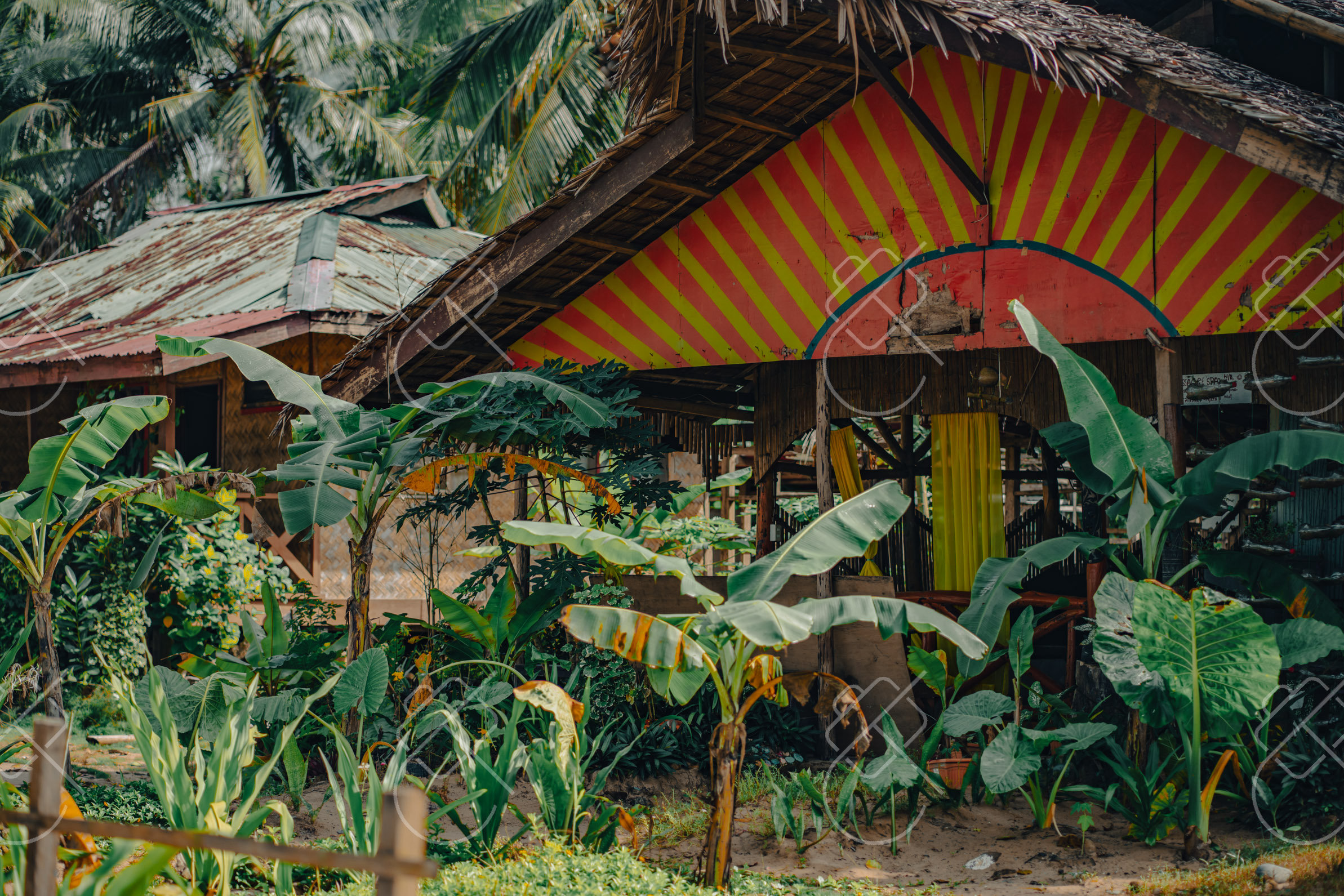 A guesthouse hut with a striped roof set among banana plants — Sabang, fine art travel photography print available from Clever Tourists