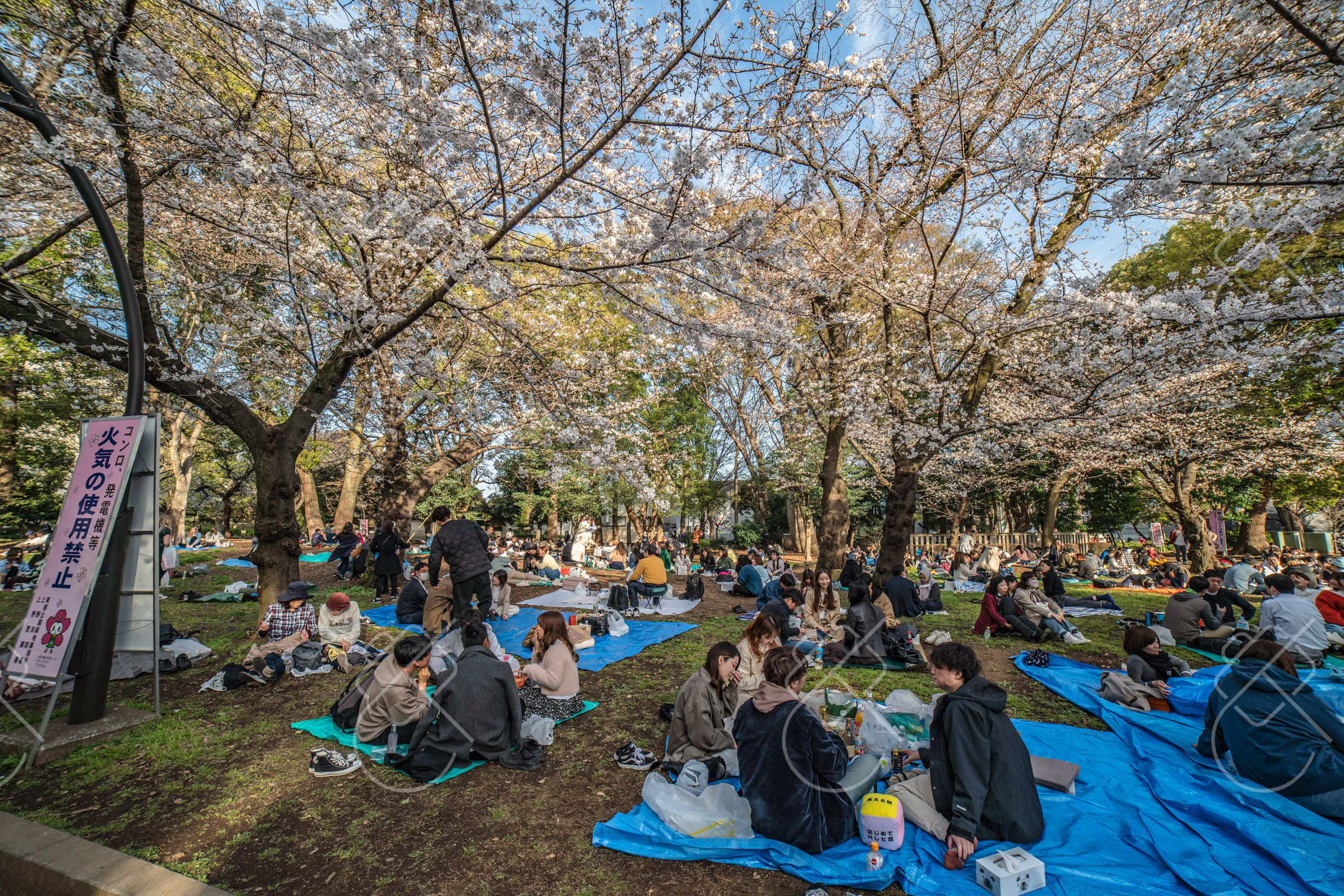 Ueno & Yanaka — fine art travel photography print available from Clever Tourists