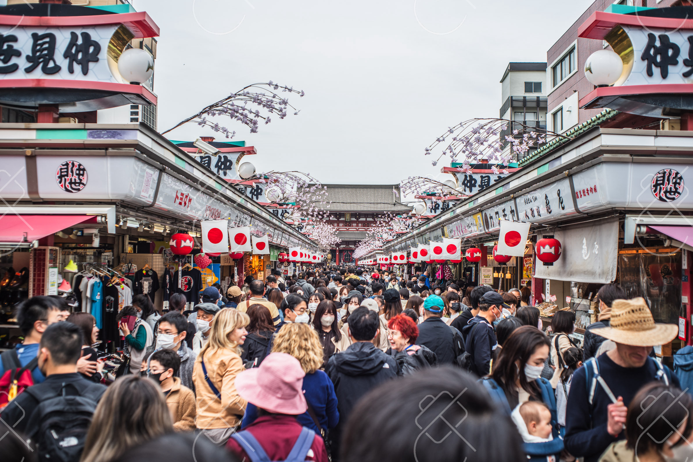 Asakusa & Sensō-ji — fine art travel photography print available from Clever Tourists