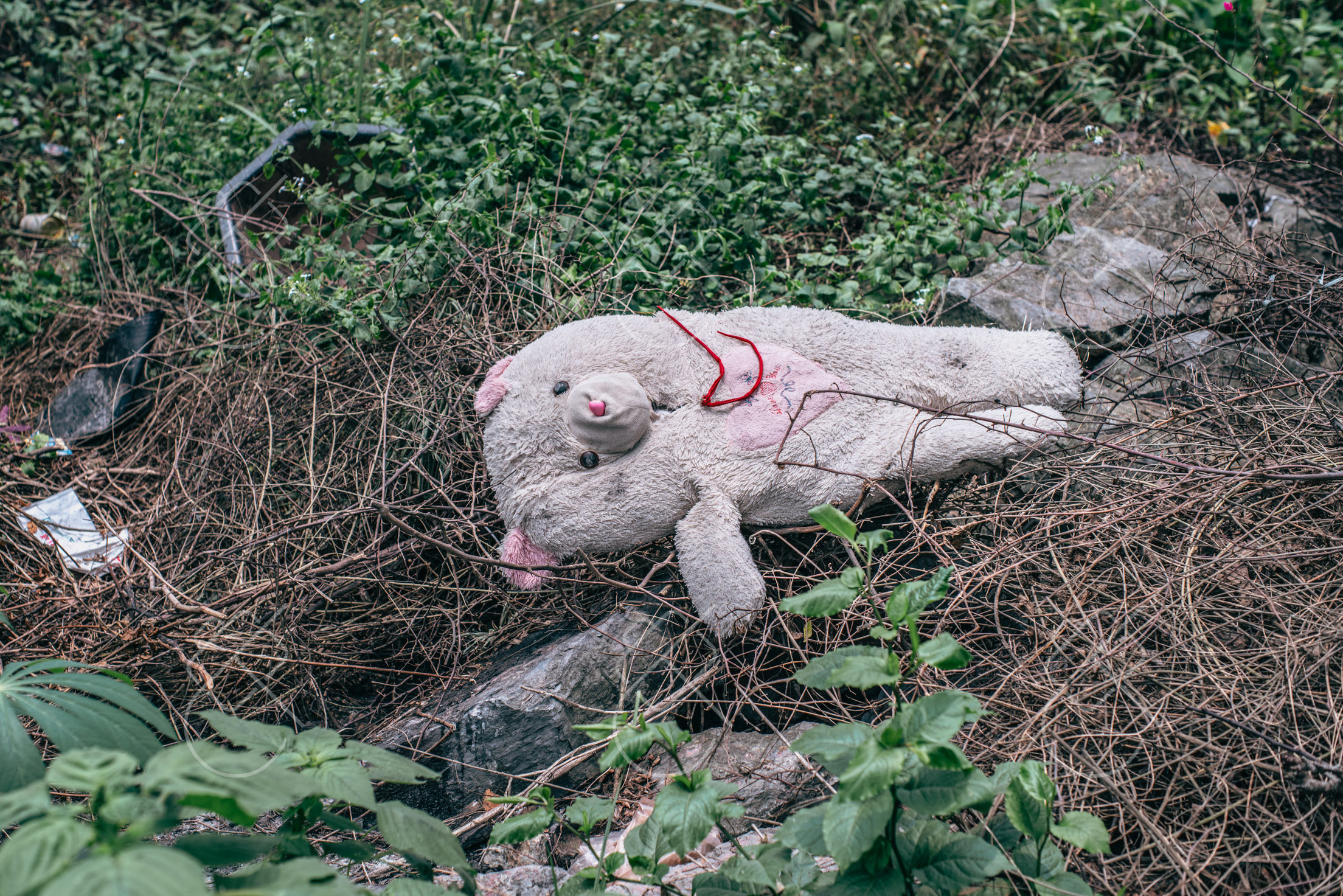 Ninh Binh — fine art travel photography print available from Clever Tourists