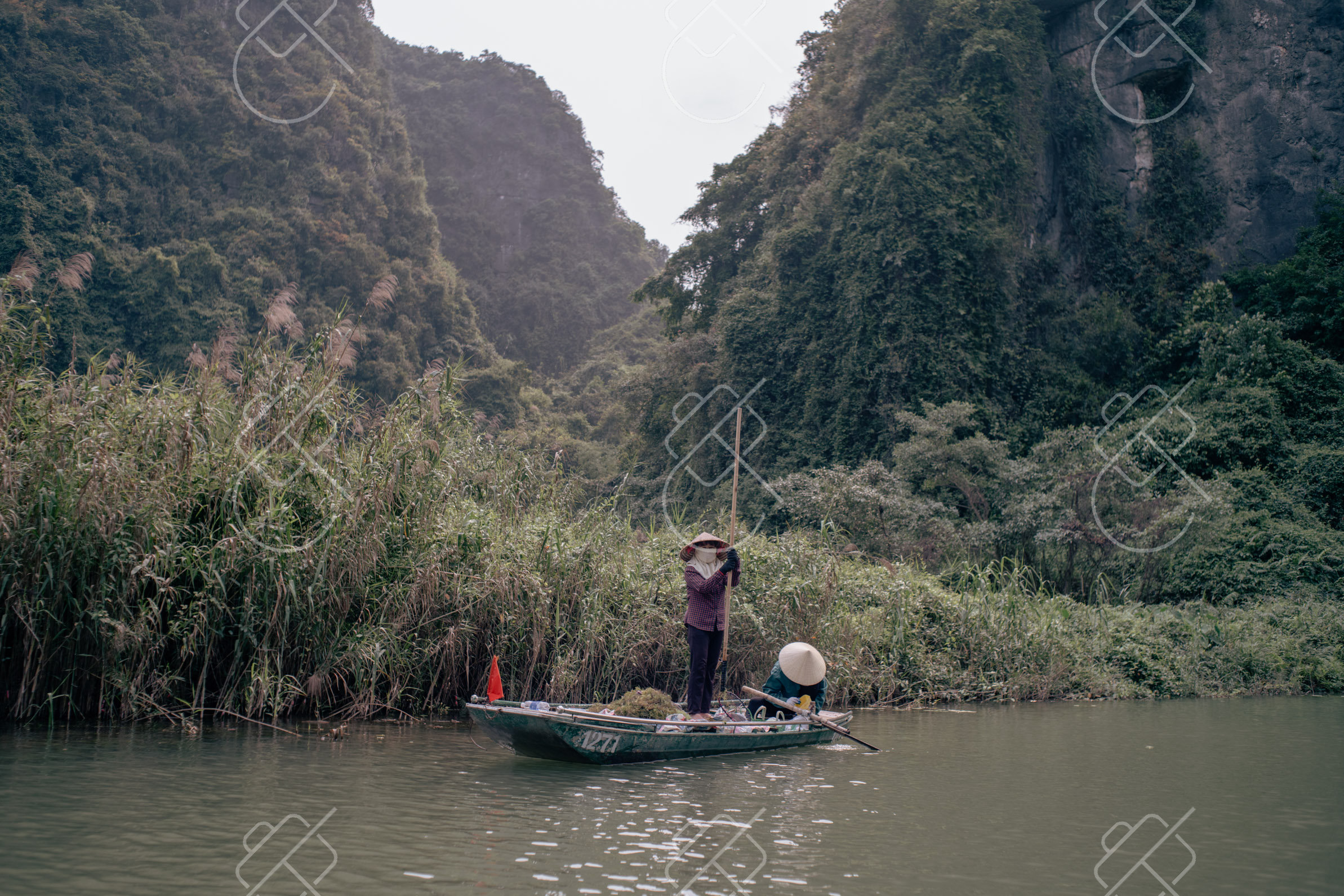 Ninh Binh, Vietnam — Nature