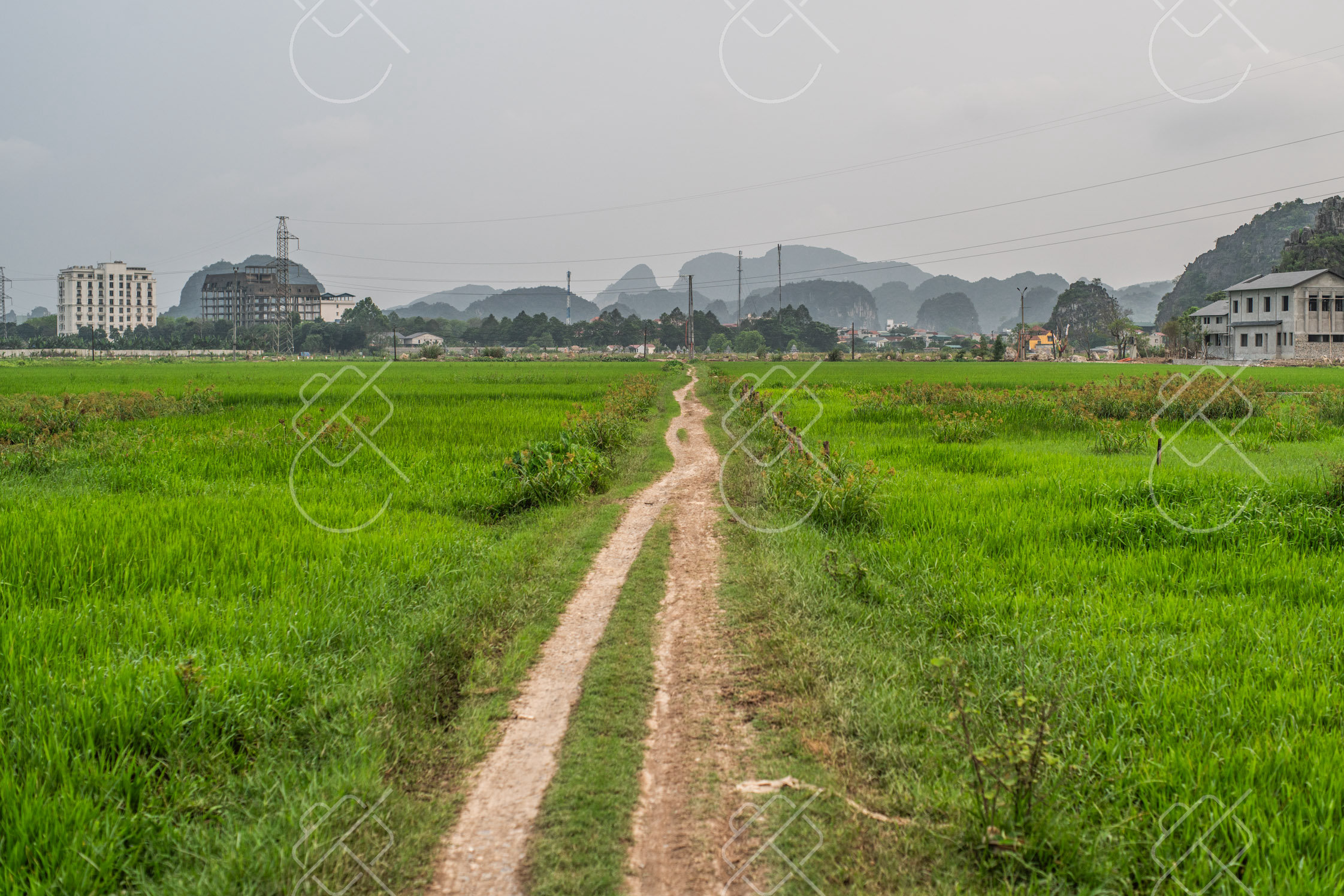 Tam Coc, Bich Dong & the countryside — fine art travel photography print available from Clever Tourists