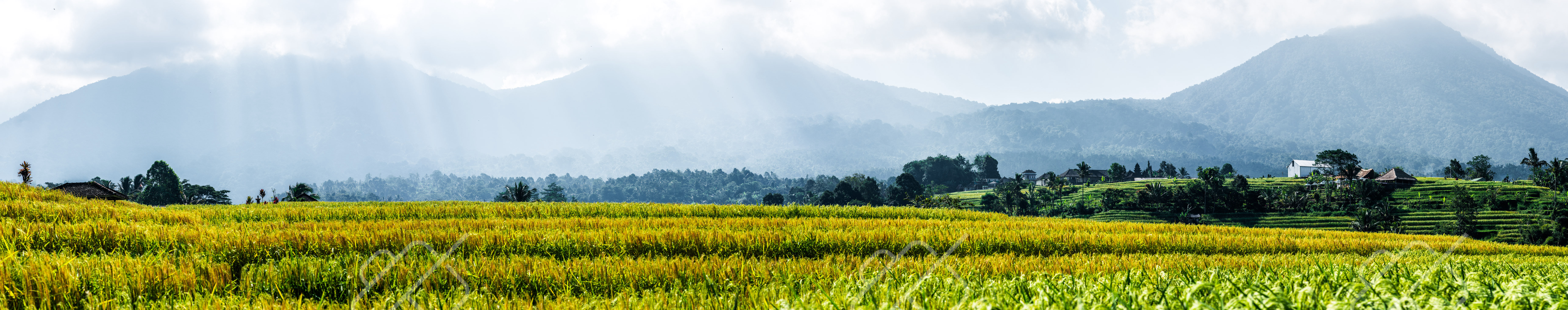Ubud — fine art travel photography print available from Clever Tourists