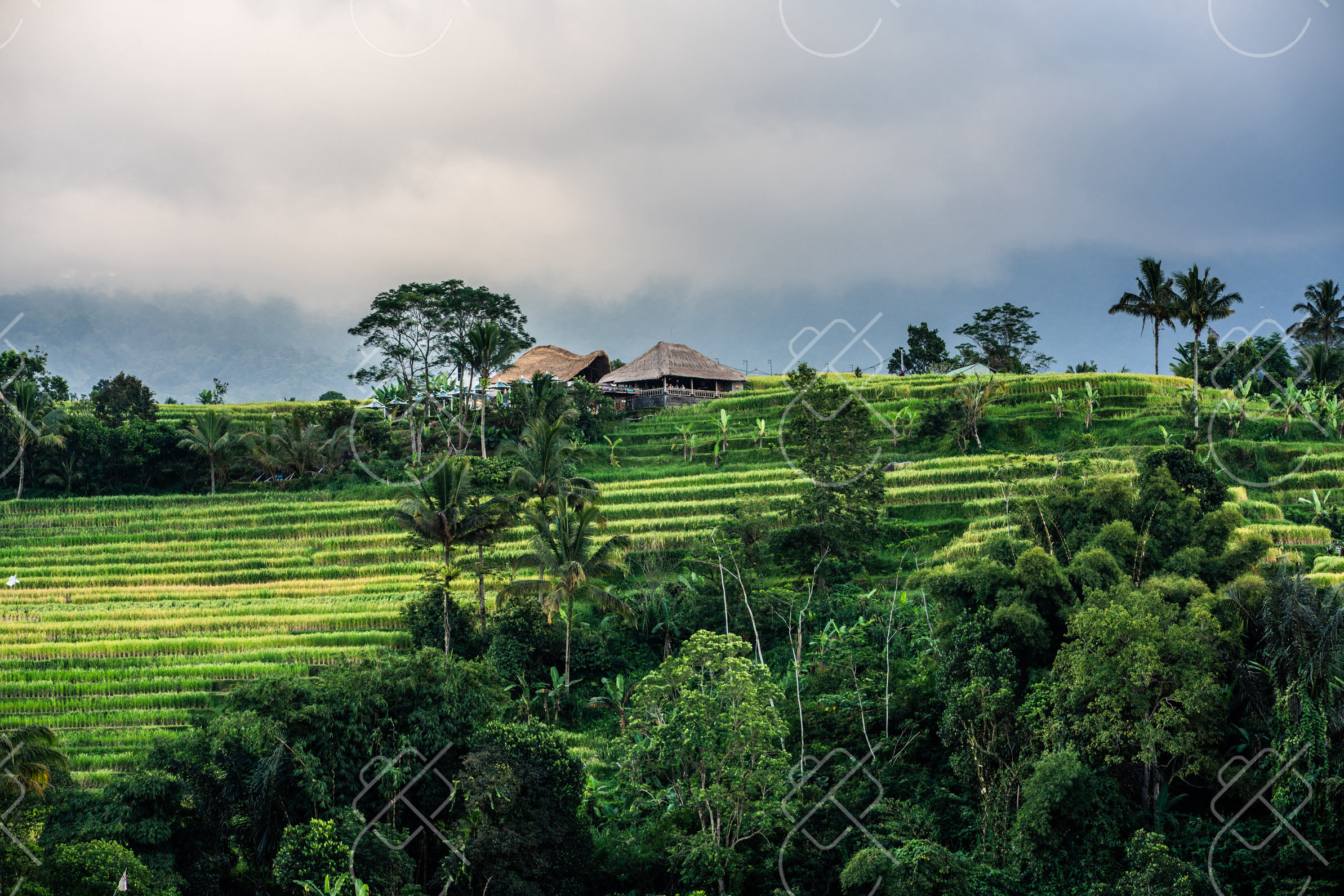 Thatched-roof viewpoints over the Tegallalang rice terraces — Ubud, fine art travel photography print available from Clever Tourists