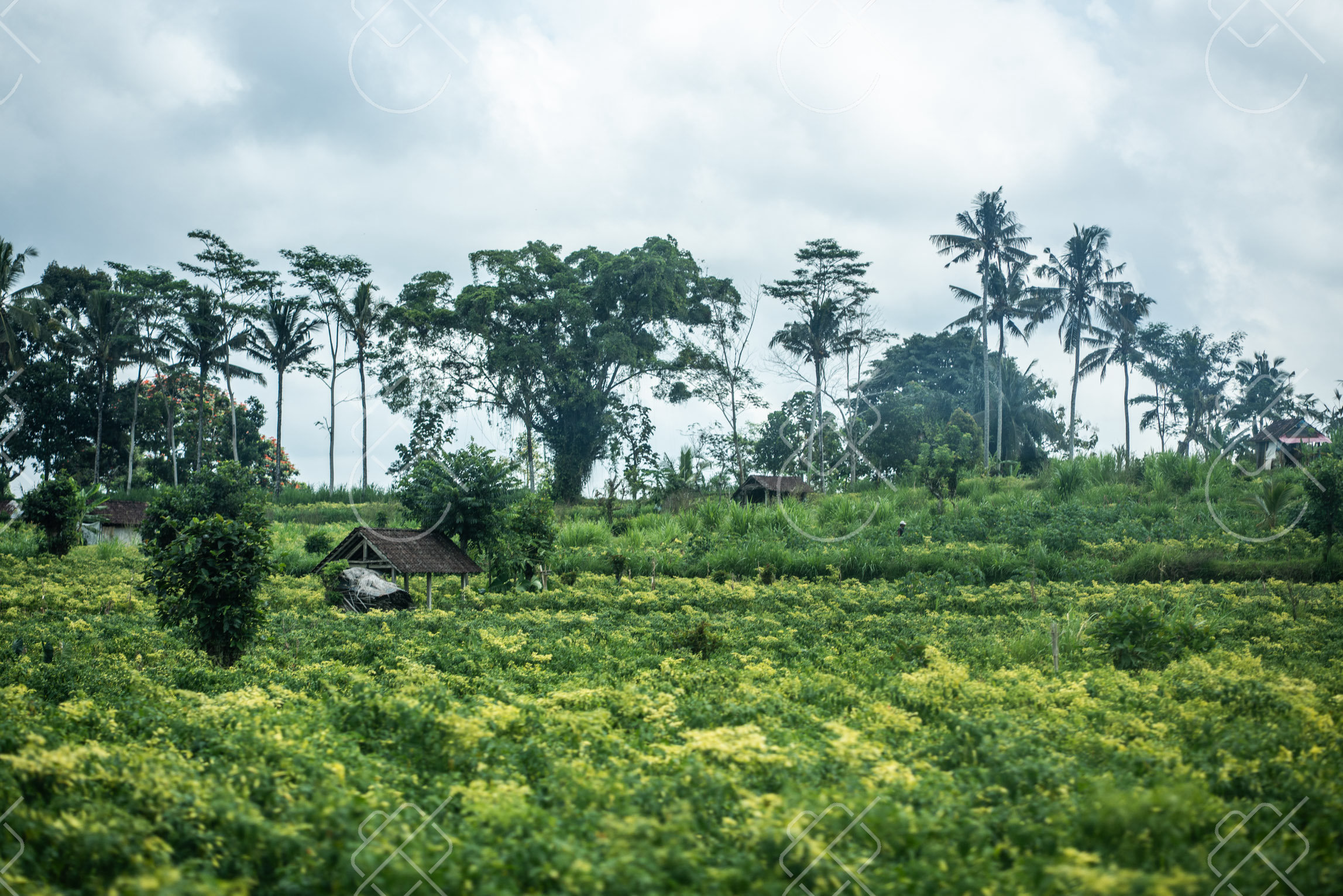 Sidemen — fine art travel photography print available from Clever Tourists